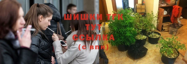 соль курить ск Алзамай