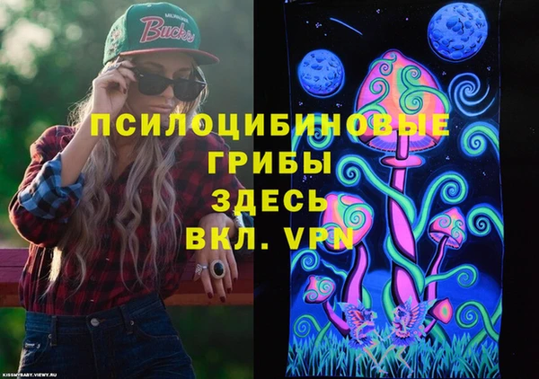 2c-b Надым