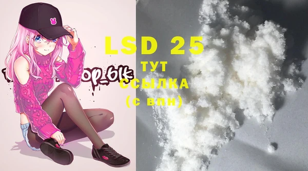 PSILOCYBIN Абдулино