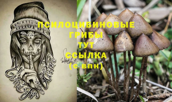 MDMA Алексеевка