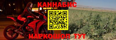 стаф Ливны